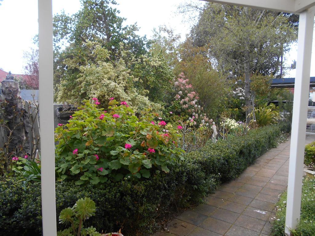 Travellers Rest B&B Penola Pokoj fotografie